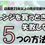 「【必読】店長歴25年以上の現役花屋が解説！アレンジを買うときに失敗しない5つの方法」の文字