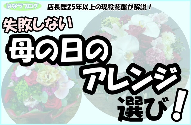 「店長歴25年以上の現役花屋が解説！母の日のアレンジ選び！」