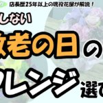 「店長歴25年以上の現役花屋が解説！失敗しない敬老の日のアレンジ選び！」の文字