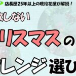 「店長歴25年以上の現役花屋が解説！失敗しないクリスマスのアレンジ選び！」の文字