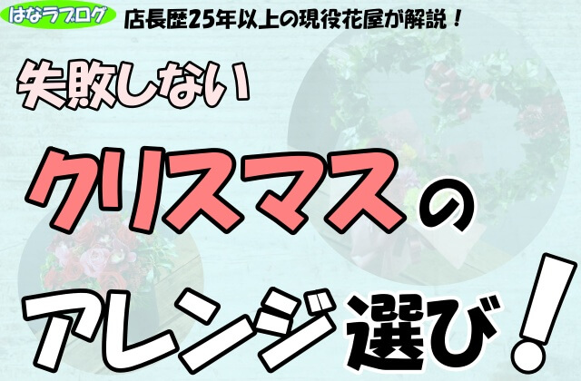 「店長歴25年以上の現役花屋が解説！失敗しないクリスマスのアレンジ選び！」の文字