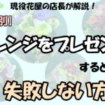 「現役花屋の店長が紹介！【行事別】アレンジをプレゼントするときに失敗しない方法」の文字